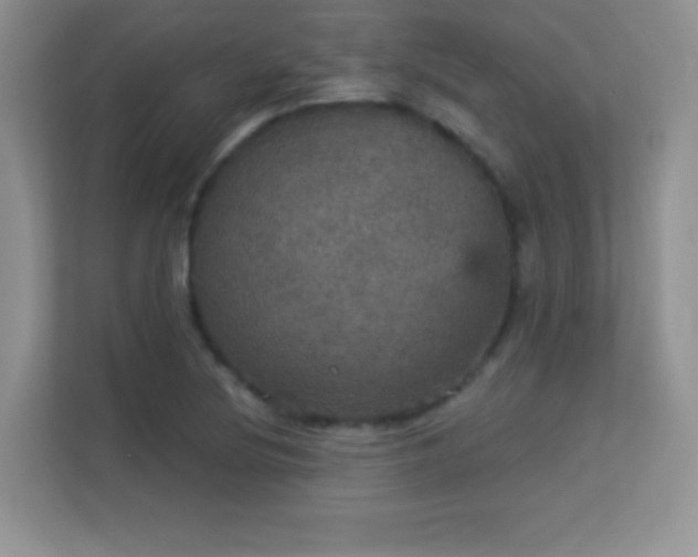 X0000113551220200909251031