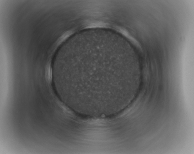 X0000113551221200909251031