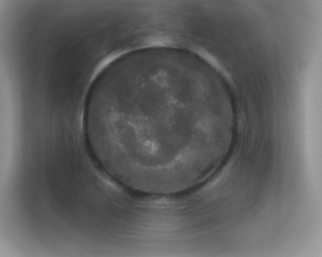 X0000113551222200909251031