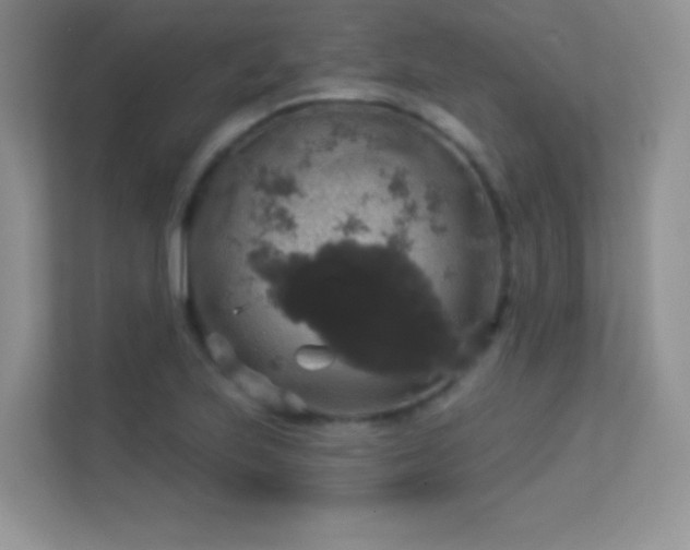 X0000113551223200909251031