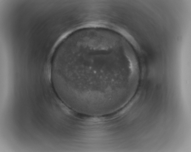 X0000113551224200909251031