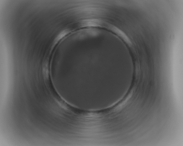 X0000113551226200909251031