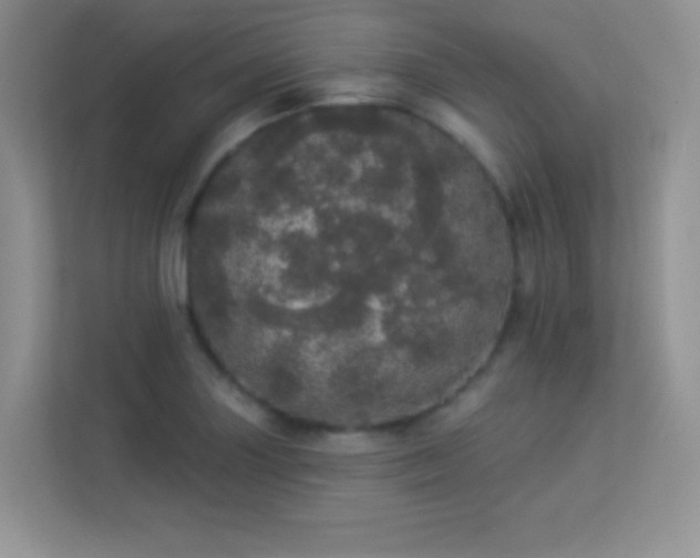 X0000113551227200909251031