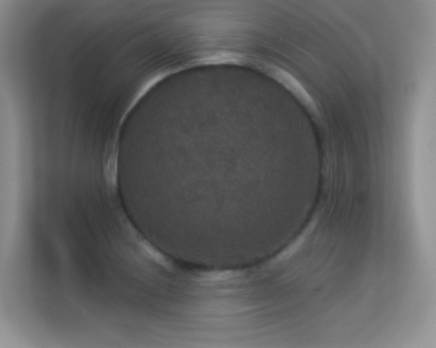 X0000113551228200909251031