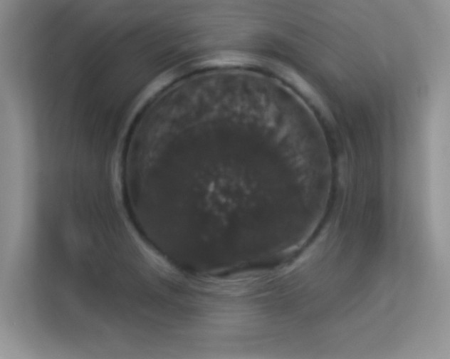 X0000113551229200909251031