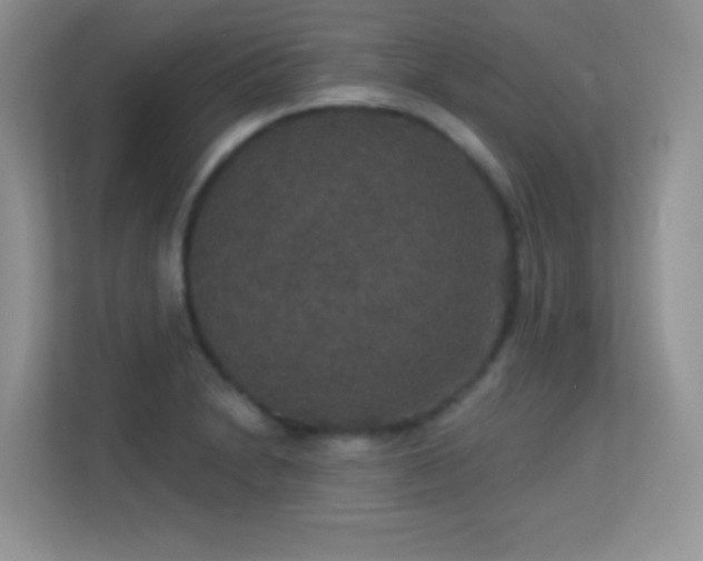 X0000113551230200909251031