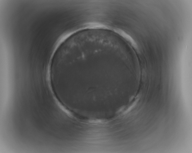 X0000113551231200909251031