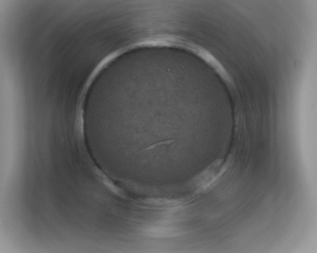 X0000113551232200909251031