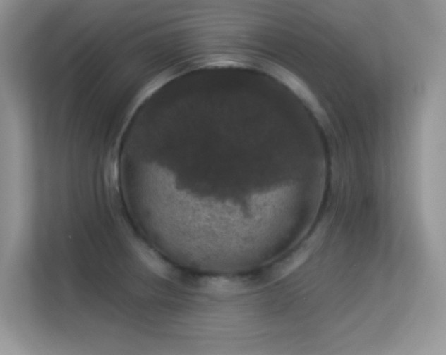 X0000113551234200909251031