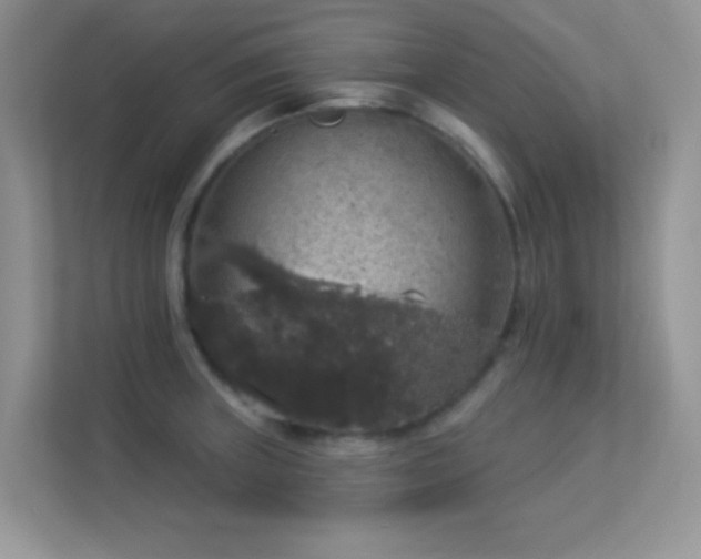 X0000113551235200909251031