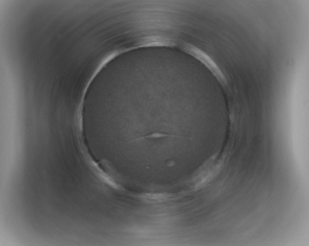 X0000113551236200909251031