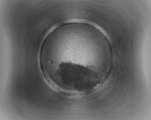 X0000113551237200909251031