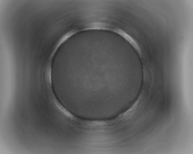 X0000113551238200909251031