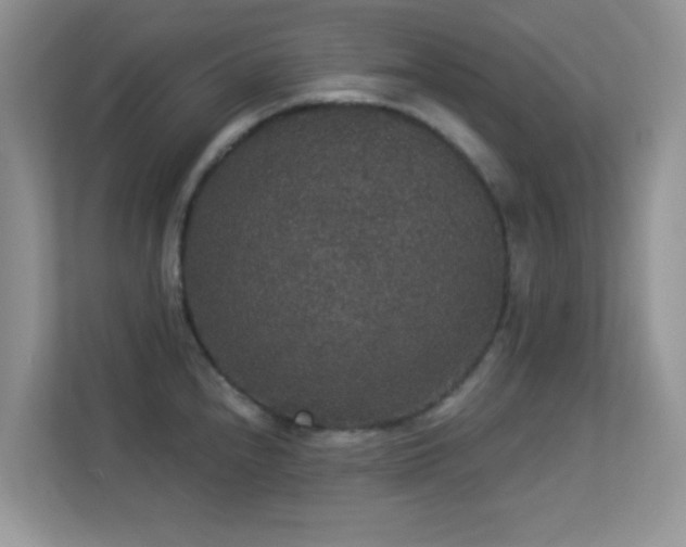 X0000113551240200909251031