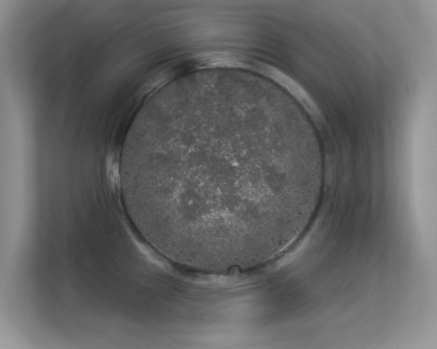 X0000113551241200909251031