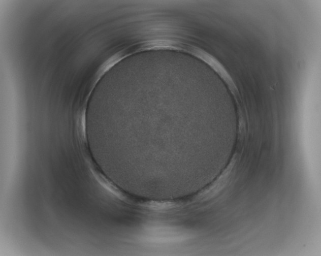 X0000113551242200909251031