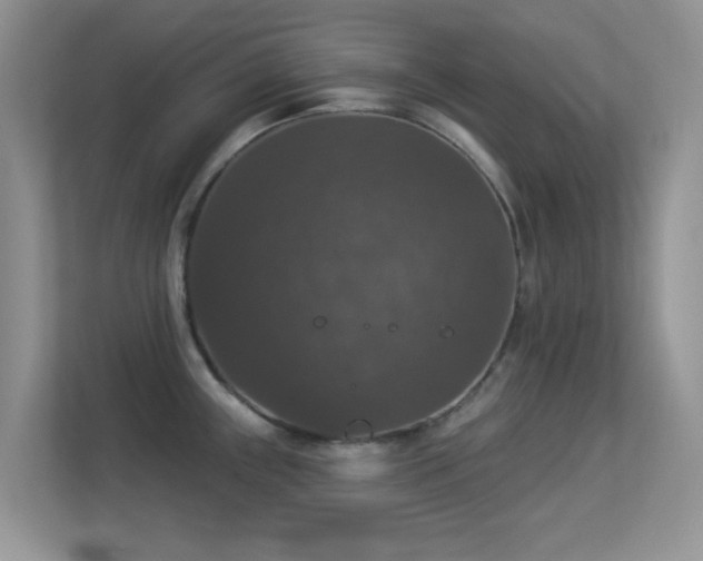 X0000113551243200909251031