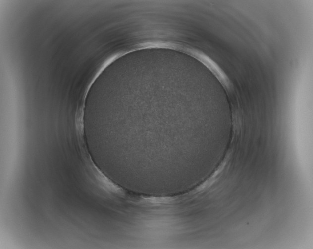 X0000113551244200909251031