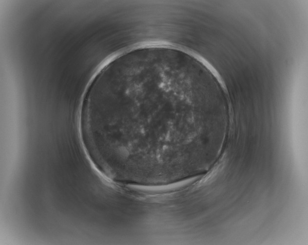 X0000113551245200909251031