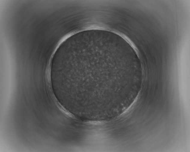 X0000113551246200909251031