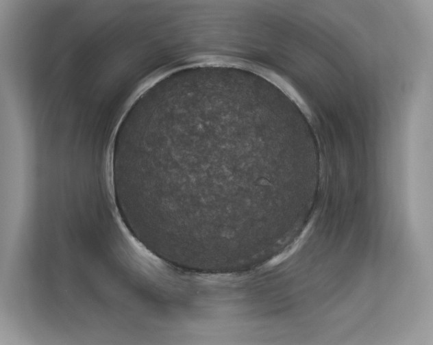 X0000113551247200909251031