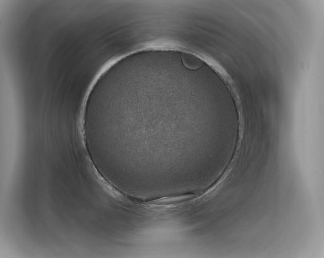 X0000113551248200909251031