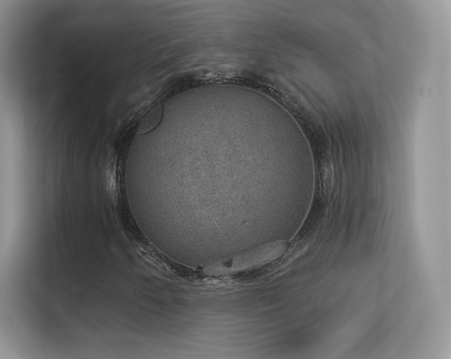 X0000113551250200909251031