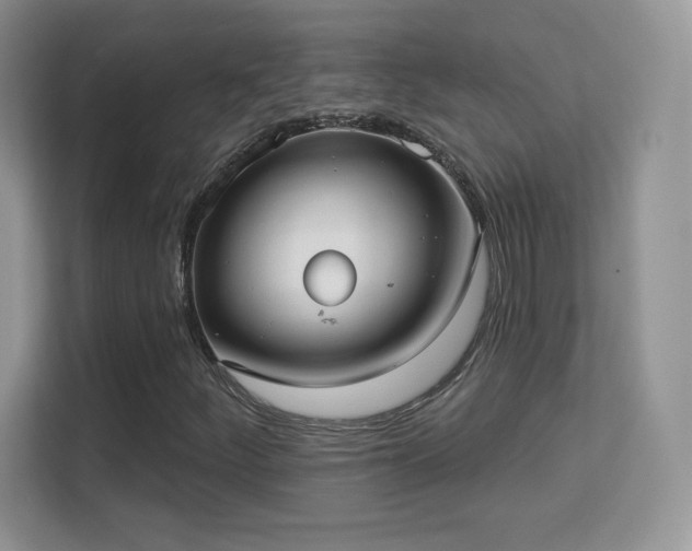 X0000113551252200909251031