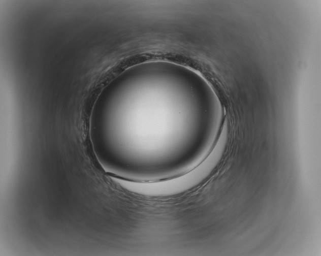 X0000113551253200909251031