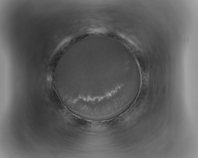 X0000113551254200909251031