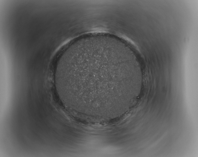 X0000113551255200909251031