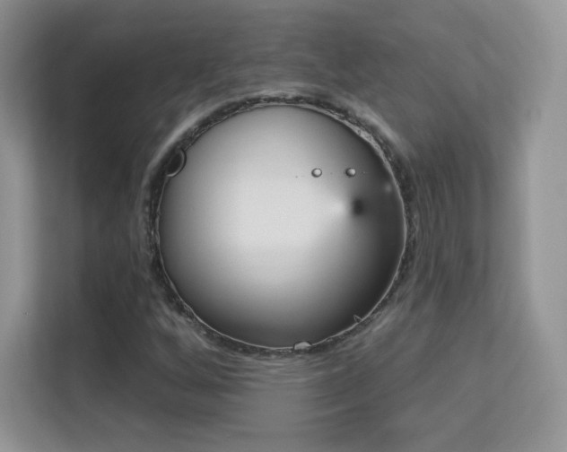 X0000113551256200909251031