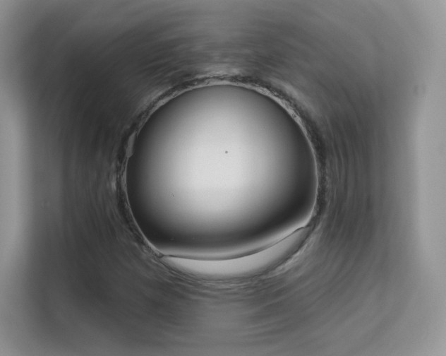 X0000113551257200909251031