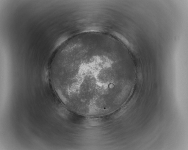 X0000113551258200909251031