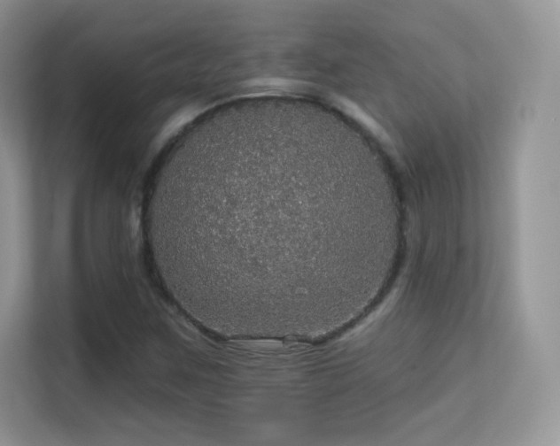 X0000113551259200909251031