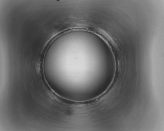 X0000113551260200909251031