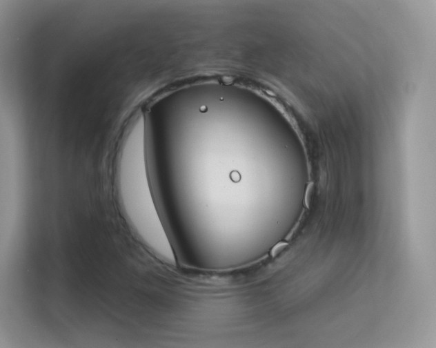 X0000113551261200909251031