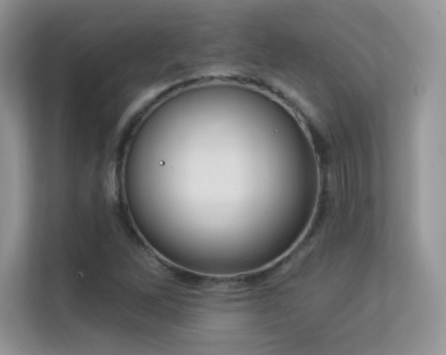 X0000113551262200909251031