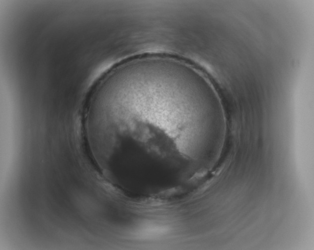 X0000113551263200909251031