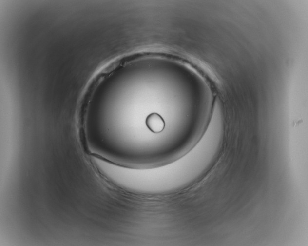 X0000113551264200909251031