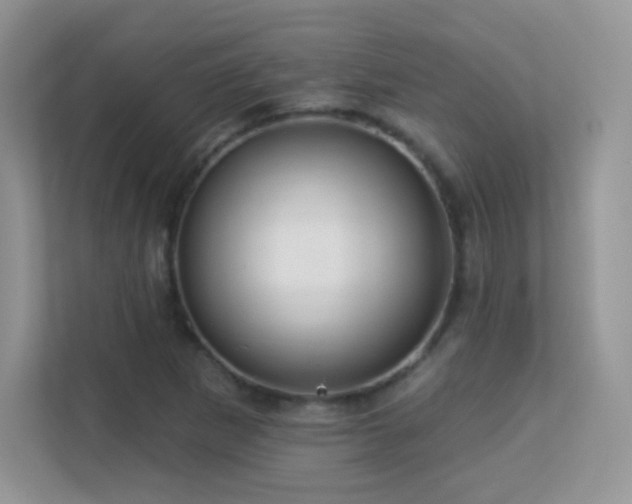 X0000113551265200909251031