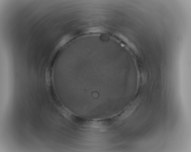 X0000113551266200909251030