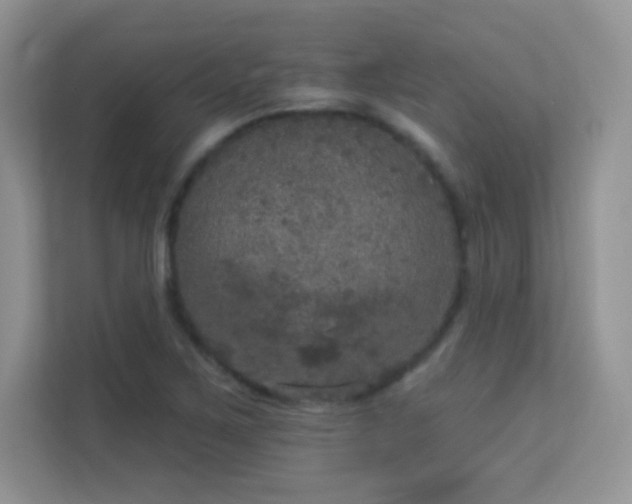 X0000113551267200909251030