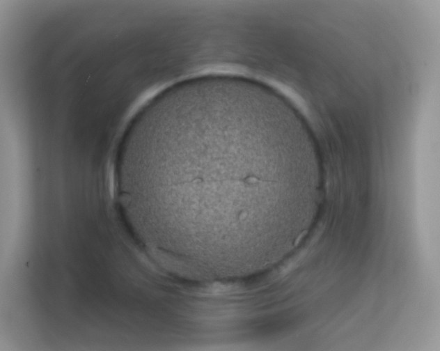 X0000113551271200909251030