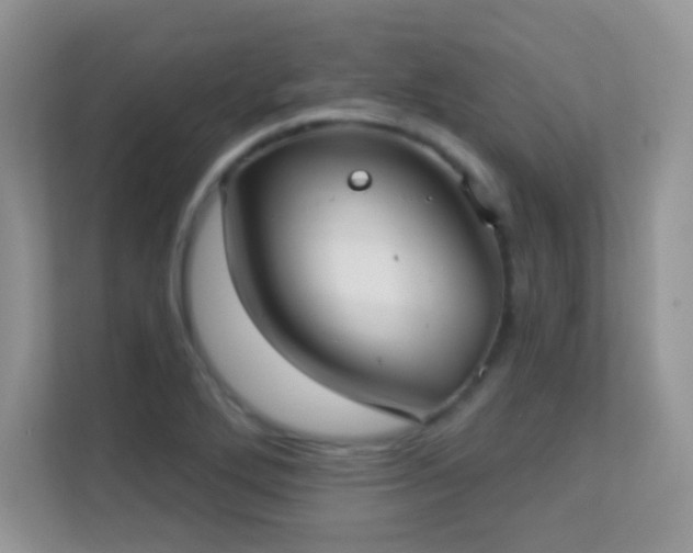 X0000113551272200909251030