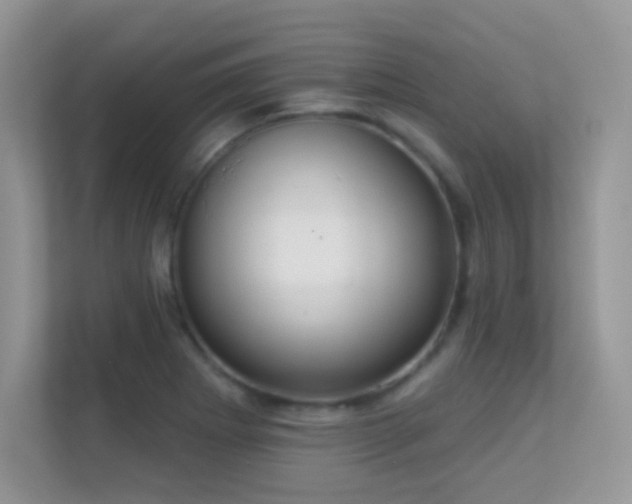 X0000113551273200909251030