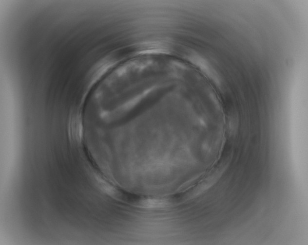 X0000113551274200909251030