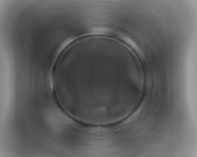 X0000113551275200909251030