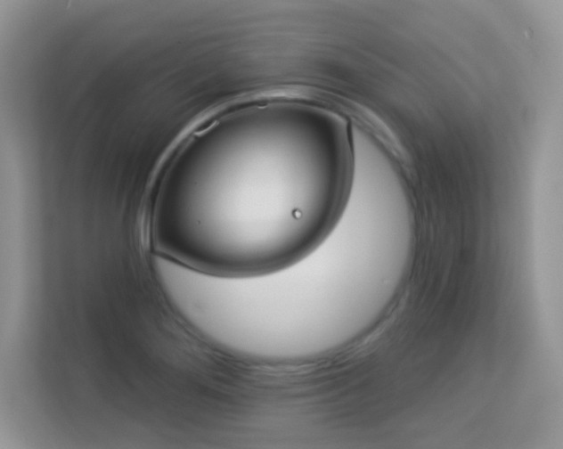 X0000113551276200909251030