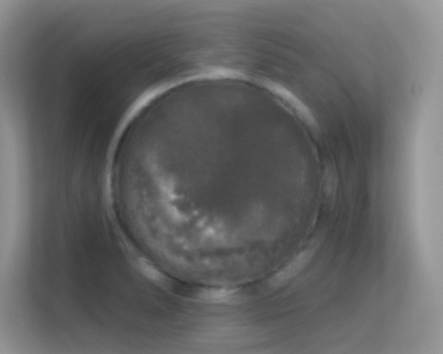 X0000113551278200909251030